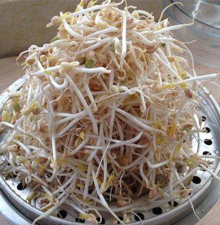 空气炸锅巧发绿豆芽步骤17