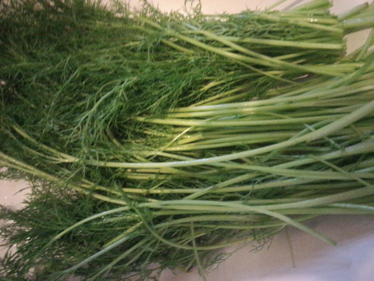 茴香苗菜饼步骤1