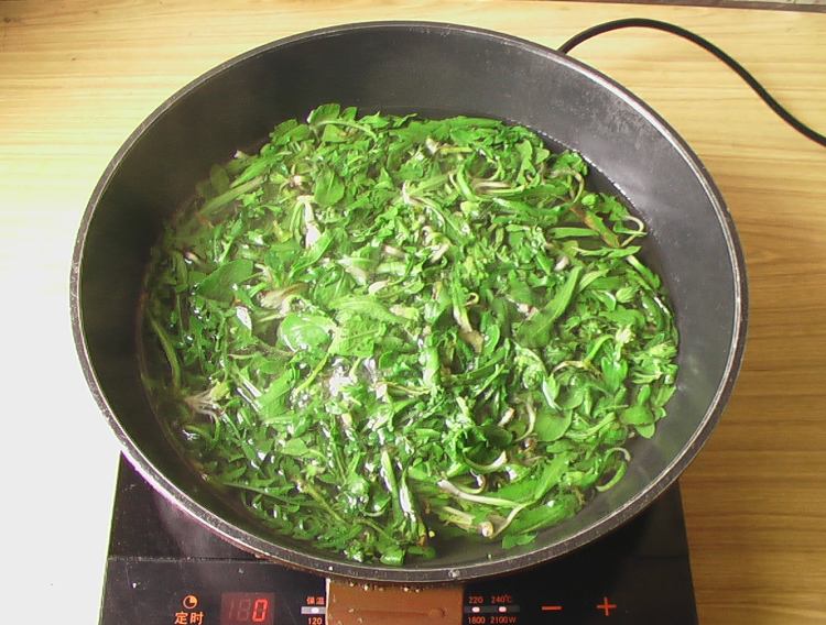凉拌蒲公英步骤2