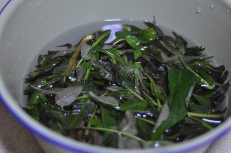 香椿拌黄豆步骤2