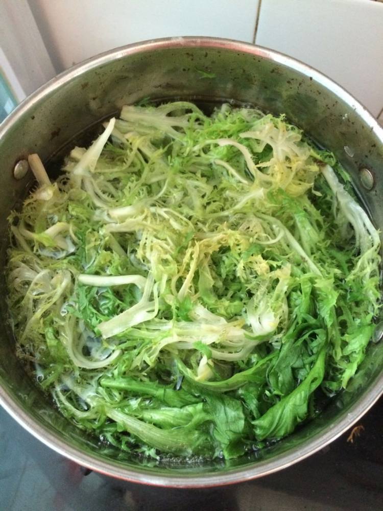 清热解暑的苦菊步骤3