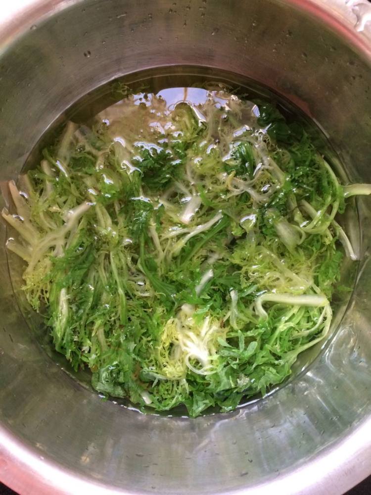 清热解暑的苦菊步骤4