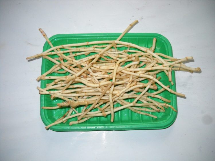 腊肉鱼腥草步骤1