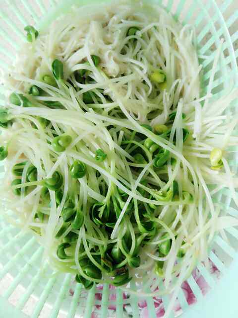 金针菇拌黑豆芽步骤3