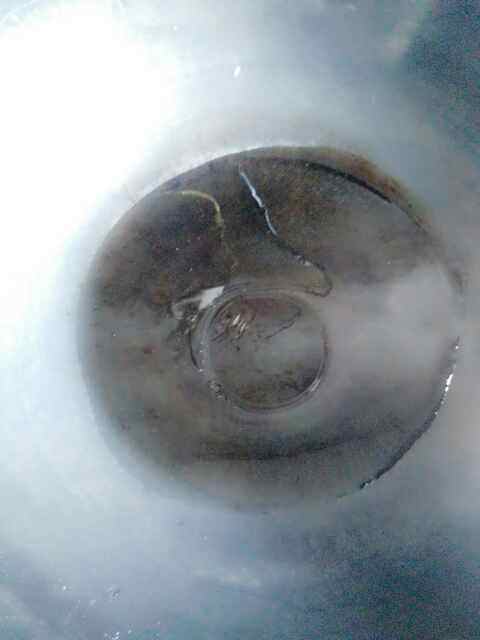 金针菇拌黑豆芽步骤5