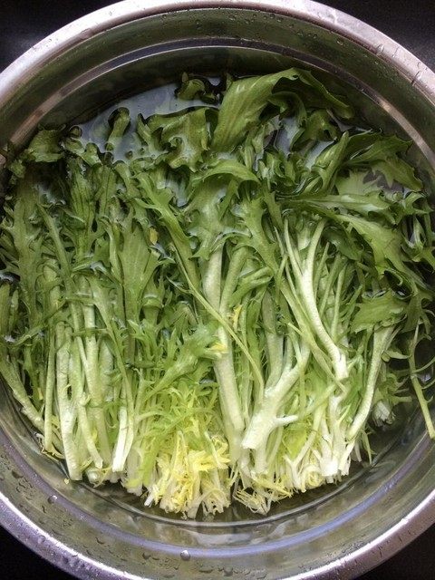 凉拌苦菊步骤2