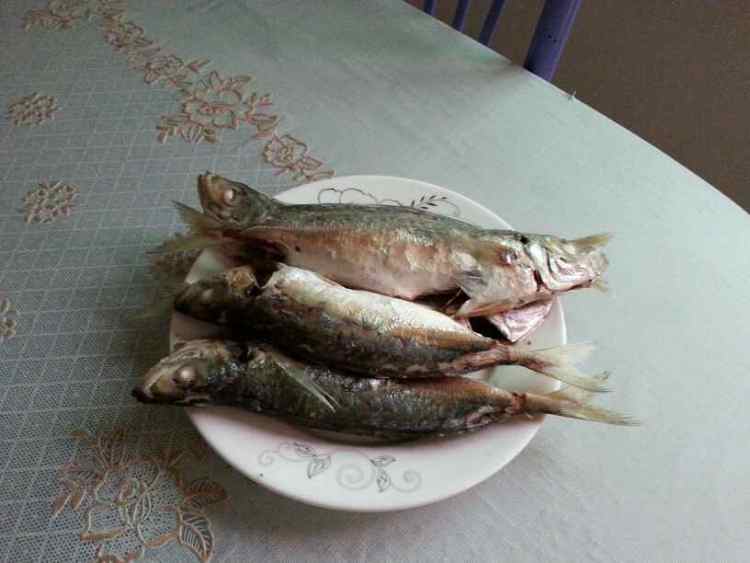 潮汕巴浪鱼饭步骤7