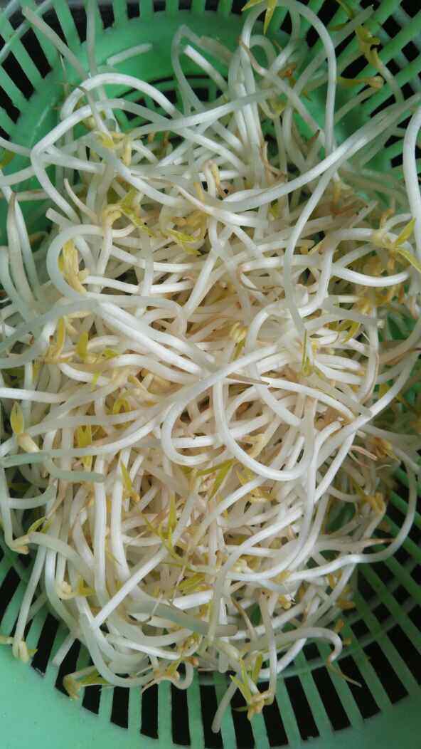 银芽豆腐丝步骤1