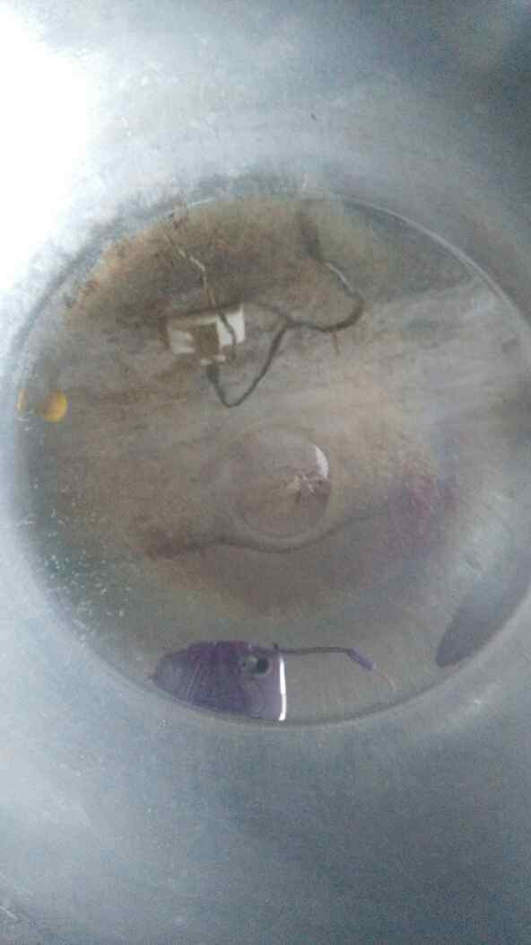 银芽豆腐丝步骤6