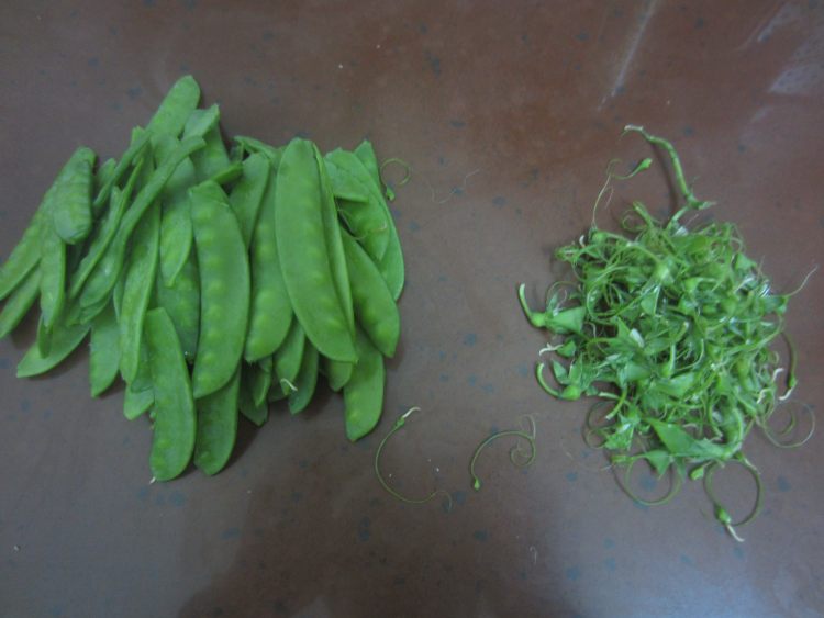 凉拌荷兰豆步骤2