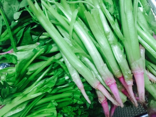 凉拌菠菜根粉皮步骤1