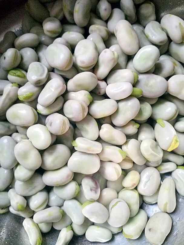 香椿拌胡豆步骤2