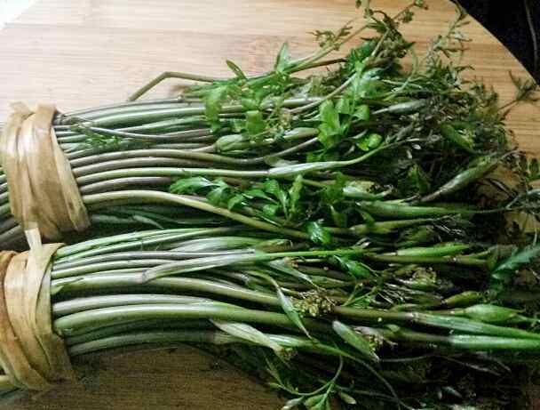 凉拌沙参苔步骤1