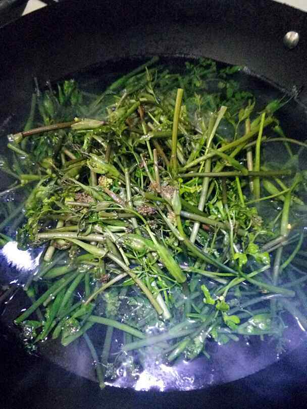 凉拌沙参苔步骤4