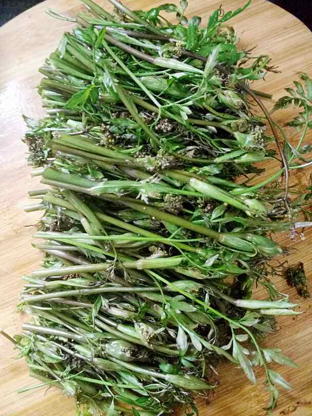 凉拌沙参苔步骤2