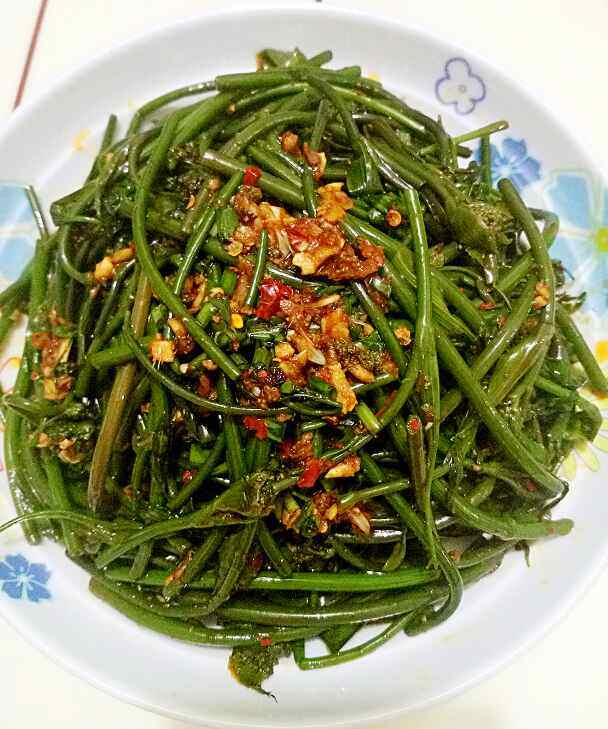 凉拌沙参苔步骤11