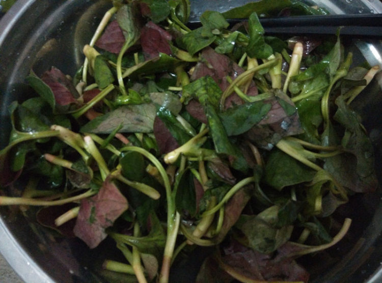 凉拌鱼腥草叶步骤1