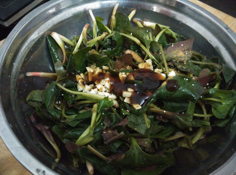 凉拌鱼腥草叶步骤5