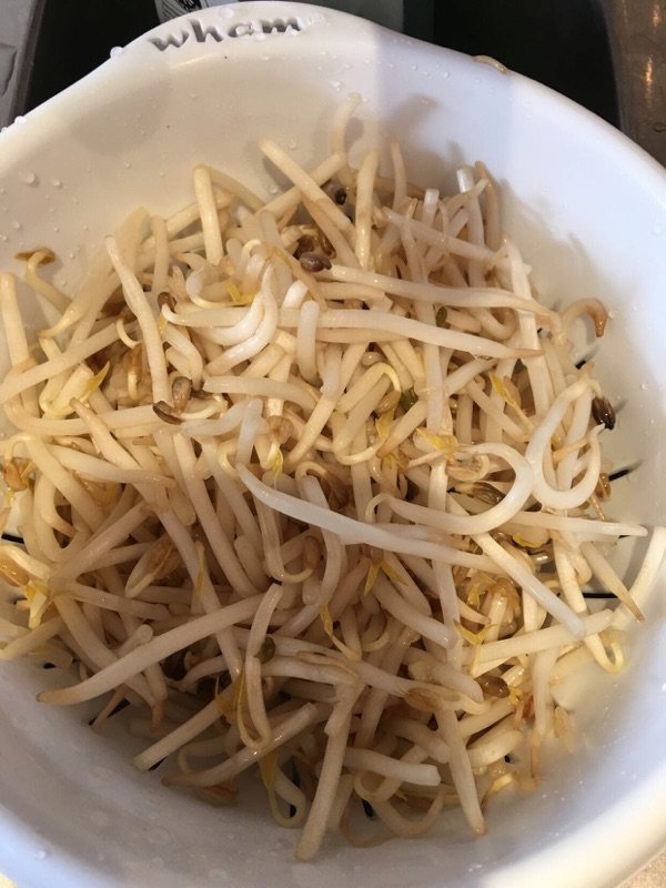 韩式凉拌豆芽步骤2