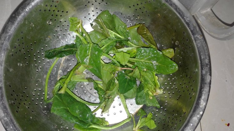 豆皮菠菜拌鸡丝步骤2