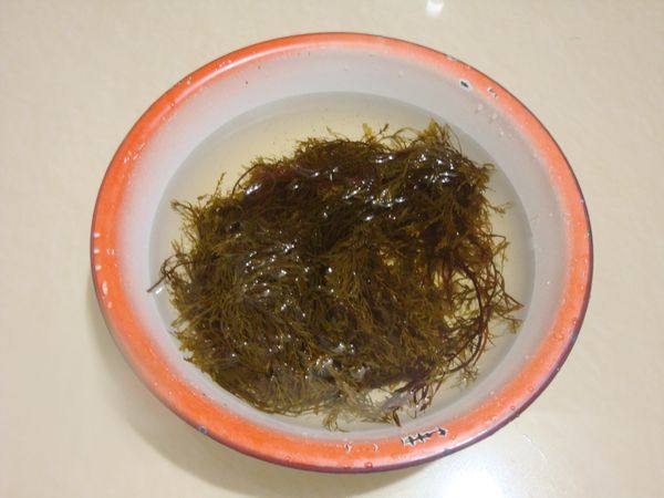 凉拌羊栖菜步骤1