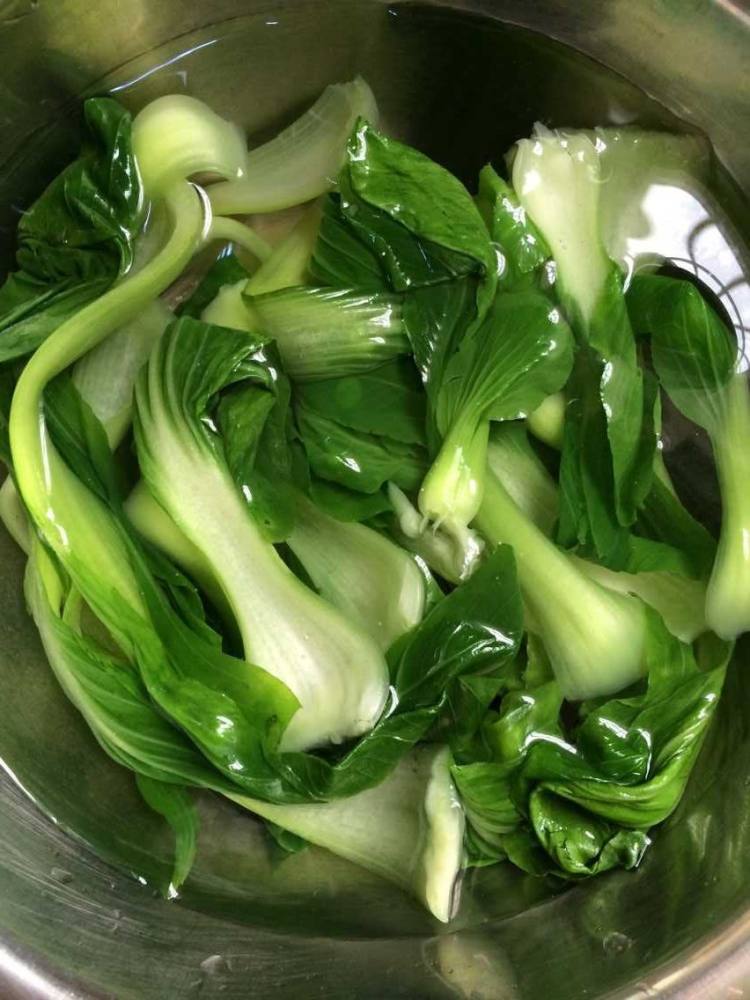 凉拌油菜步骤3