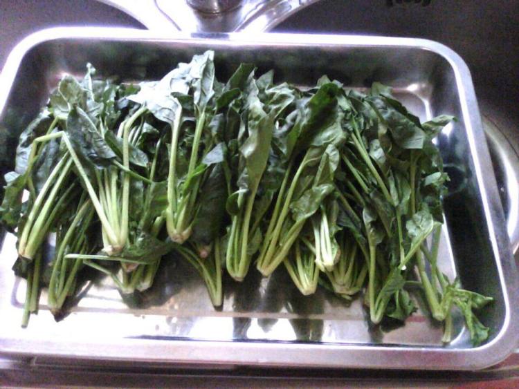 白灼菠菜步骤1