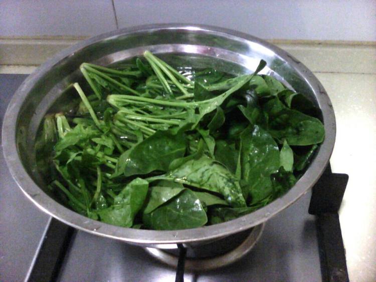 白灼菠菜步骤3