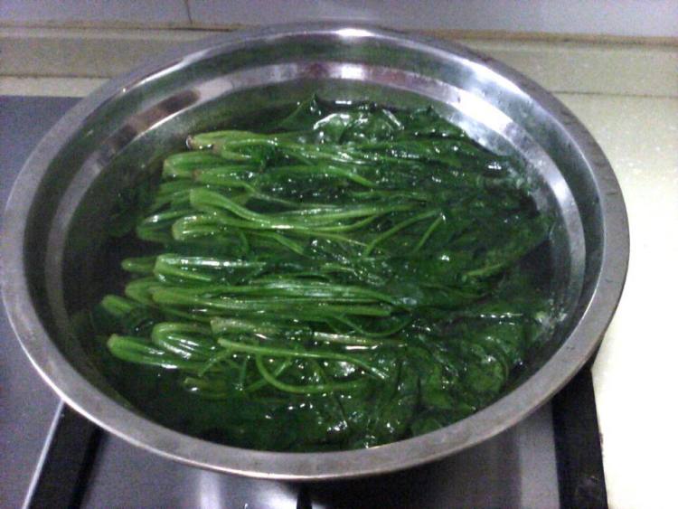 白灼菠菜步骤4