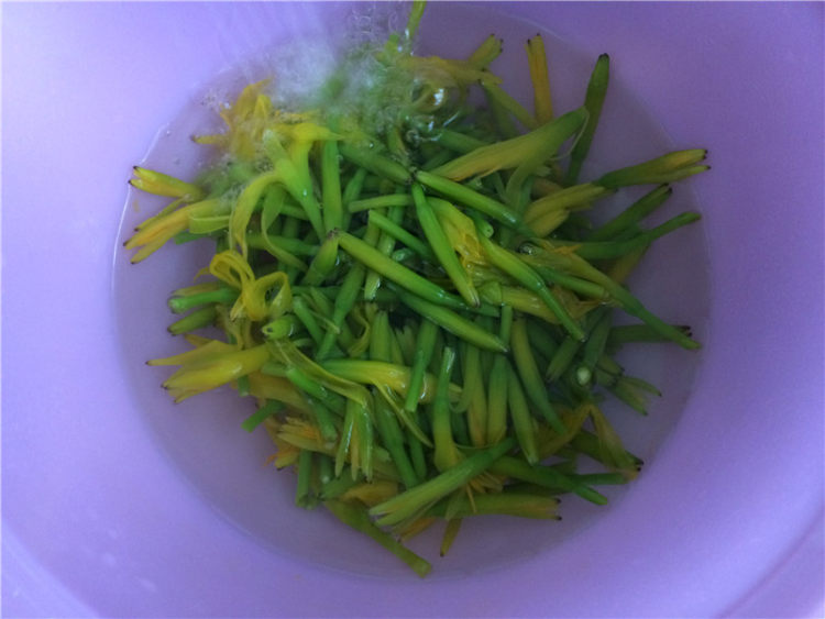 鲜黄花菜拌木耳步骤5
