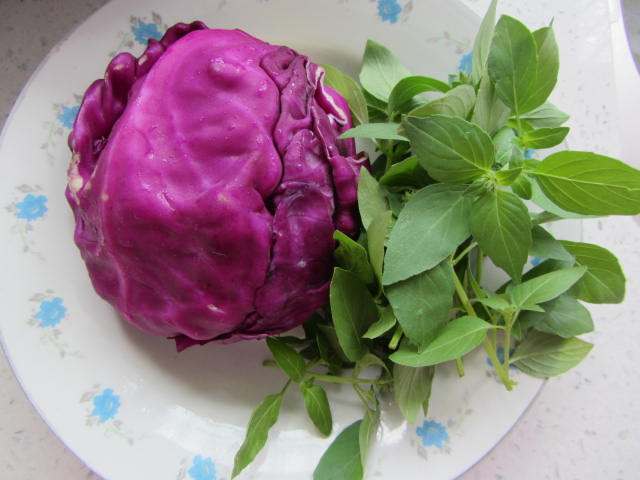 荆芥拌紫甘蓝步骤1