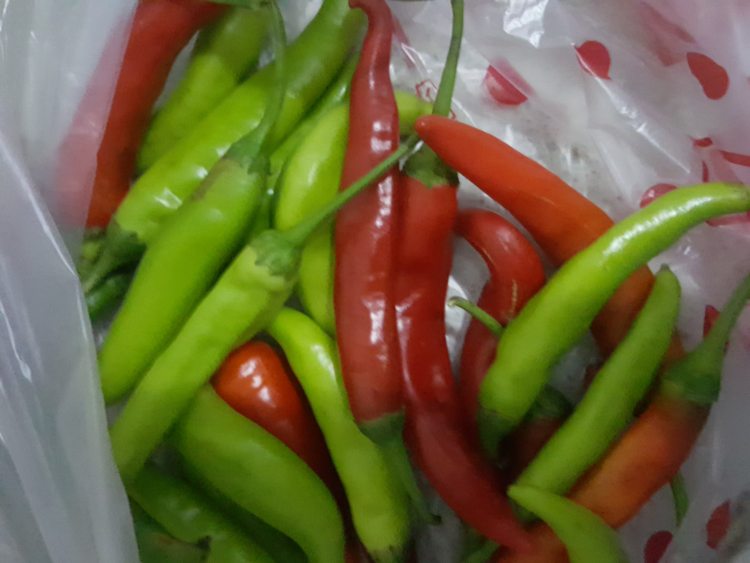 黄瓜辣椒馅食步骤2
