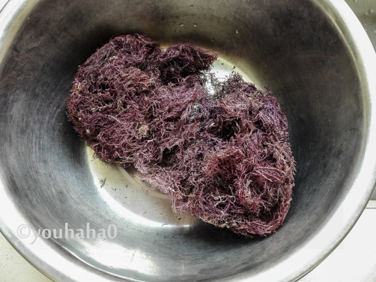 自制石花菜凉粉步骤1