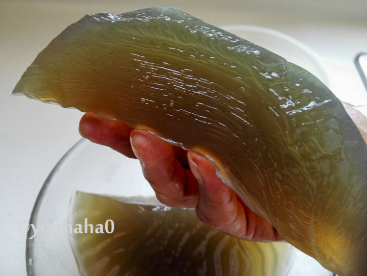自制石花菜凉粉步骤6