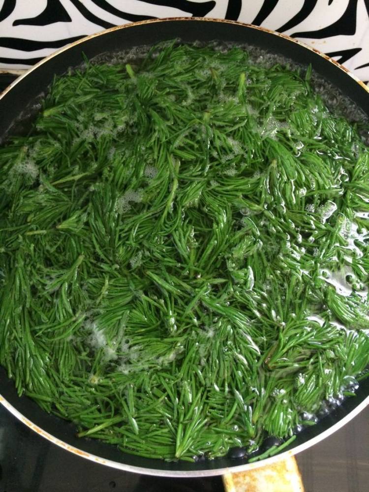 海蓬菜水饺步骤3