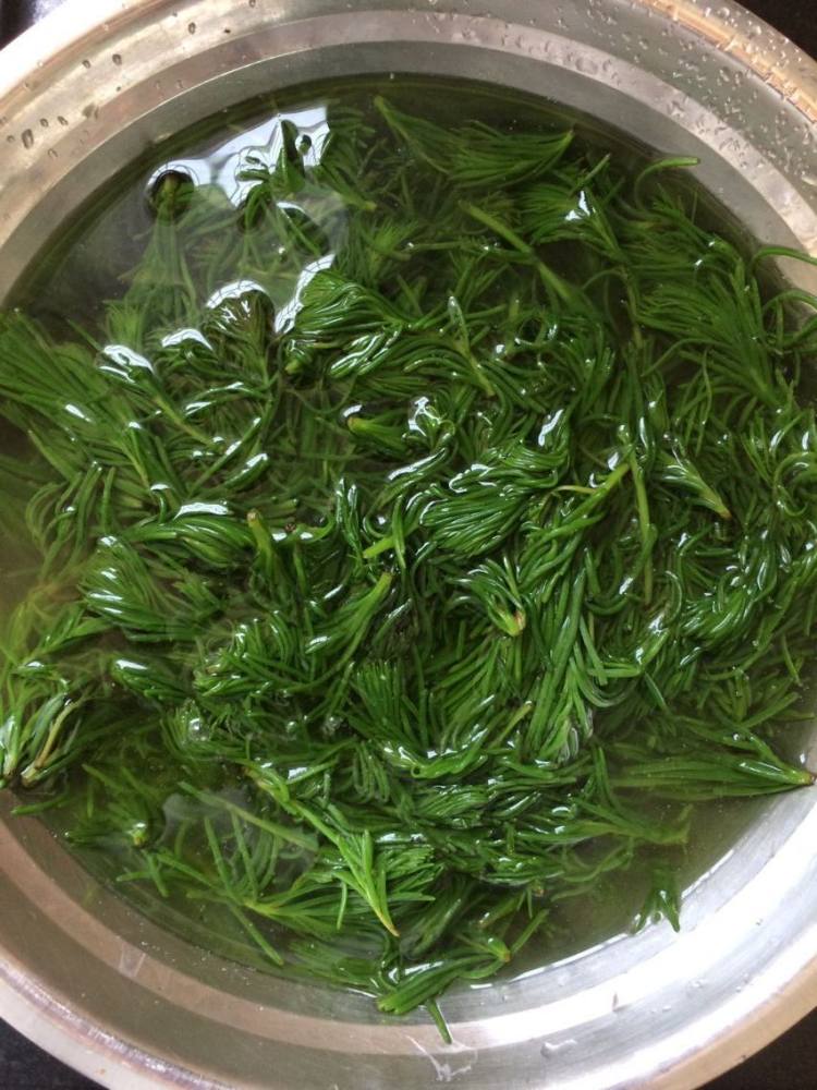 海蓬菜水饺步骤4
