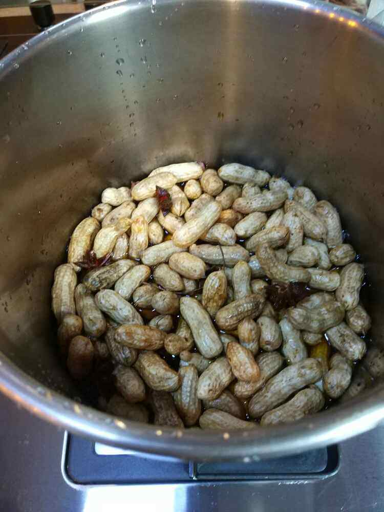 带壳茴香花生步骤4
