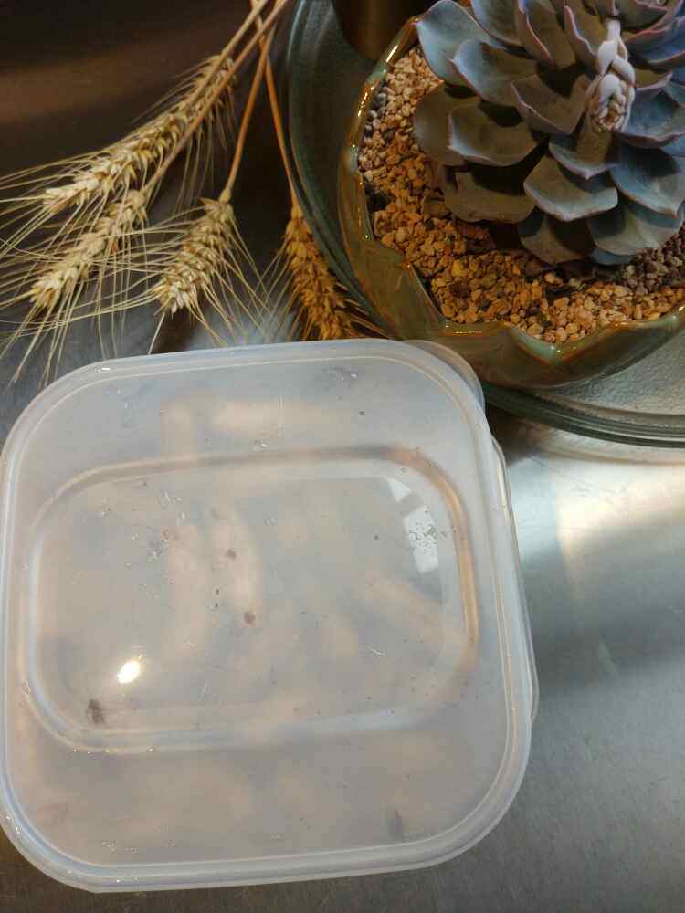 带壳茴香花生步骤7