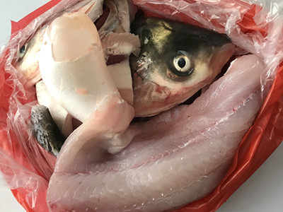 鱼饼步骤1