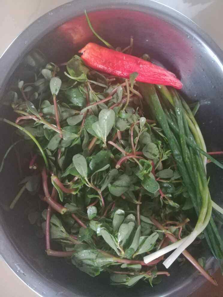 马齿笕盒子步骤1