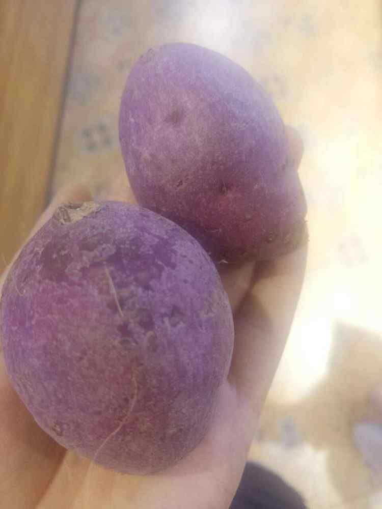 紫薯冰晶粽步骤1