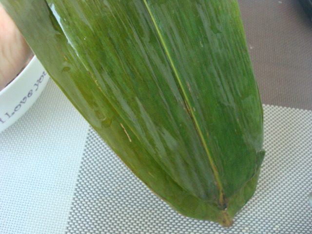 豆沙红枣粽子步骤3