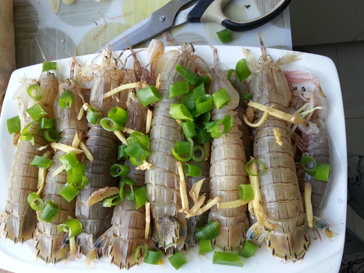 清蒸皮皮虾步骤4