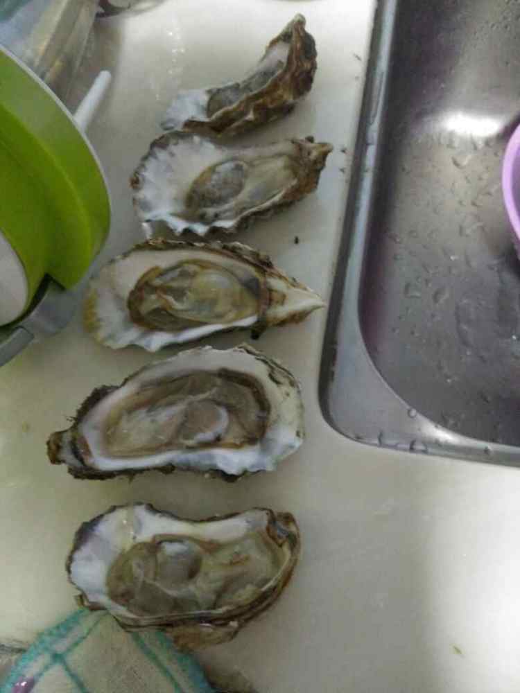 烤生蚝步骤4