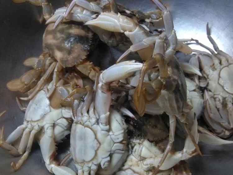 黄酒老卤呛海蟹步骤1