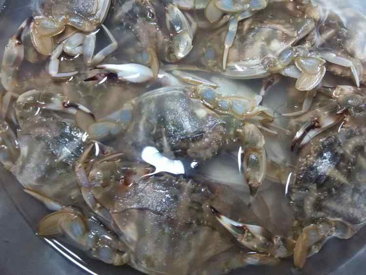 黄酒老卤呛海蟹步骤3