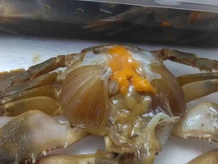 黄酒老卤呛海蟹步骤7