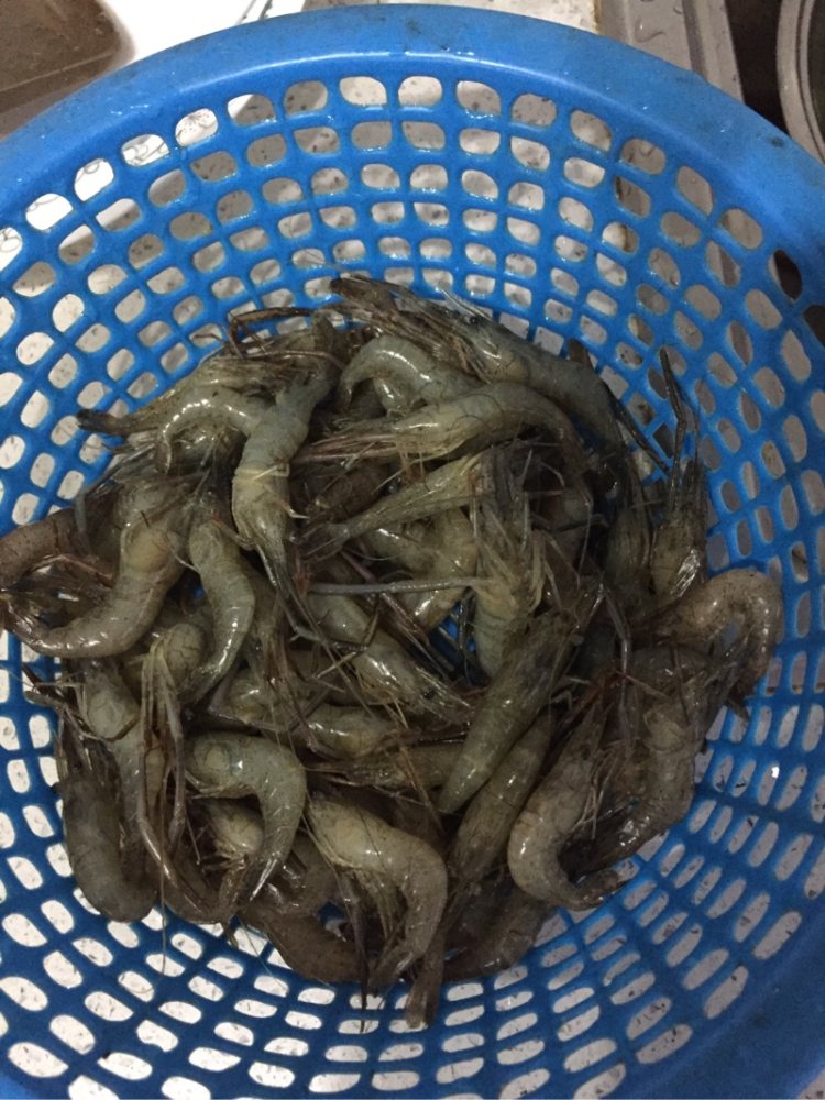 电饼铛烤虾步骤1