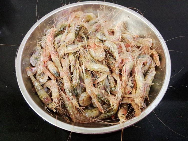 炝海虾步骤1
