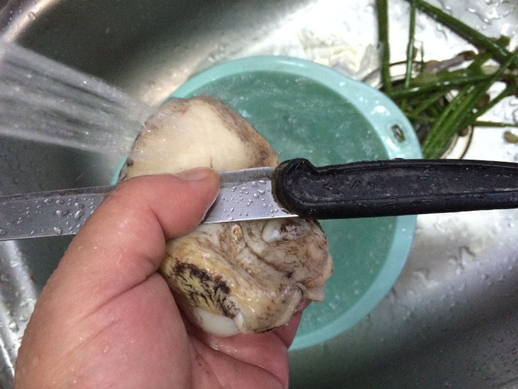 荷兰豆炒鲍片步骤3